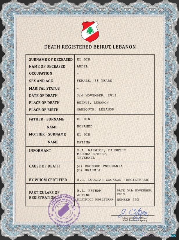 Download Lebanon vital record death certificate PSD template Photoshop template